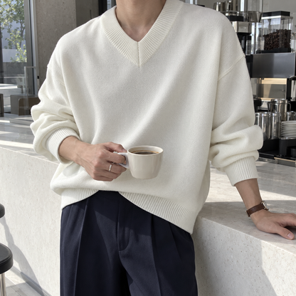 V-Neck Design Knit Sweater