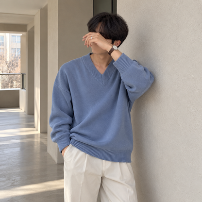 V-Neck Design Knit Sweater