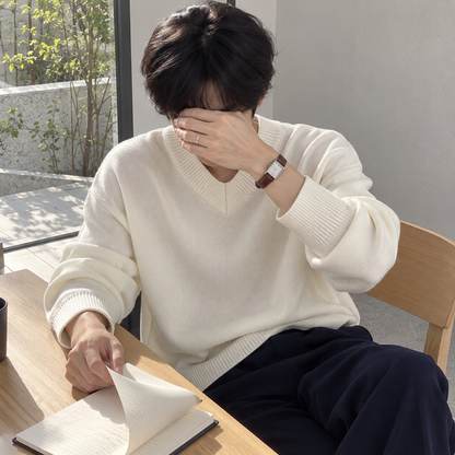 V-Neck Design Knit Sweater