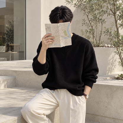 V-Neck Design Knit Sweater