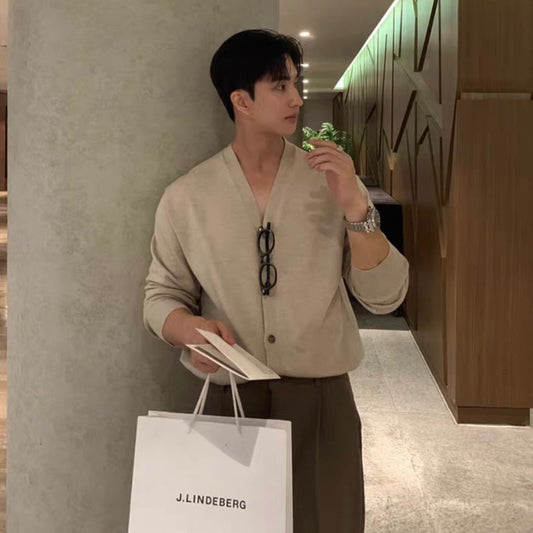 Korean Cozy V-Neck Knit Sweater