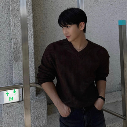 Men's V-Neck Knit Sweater